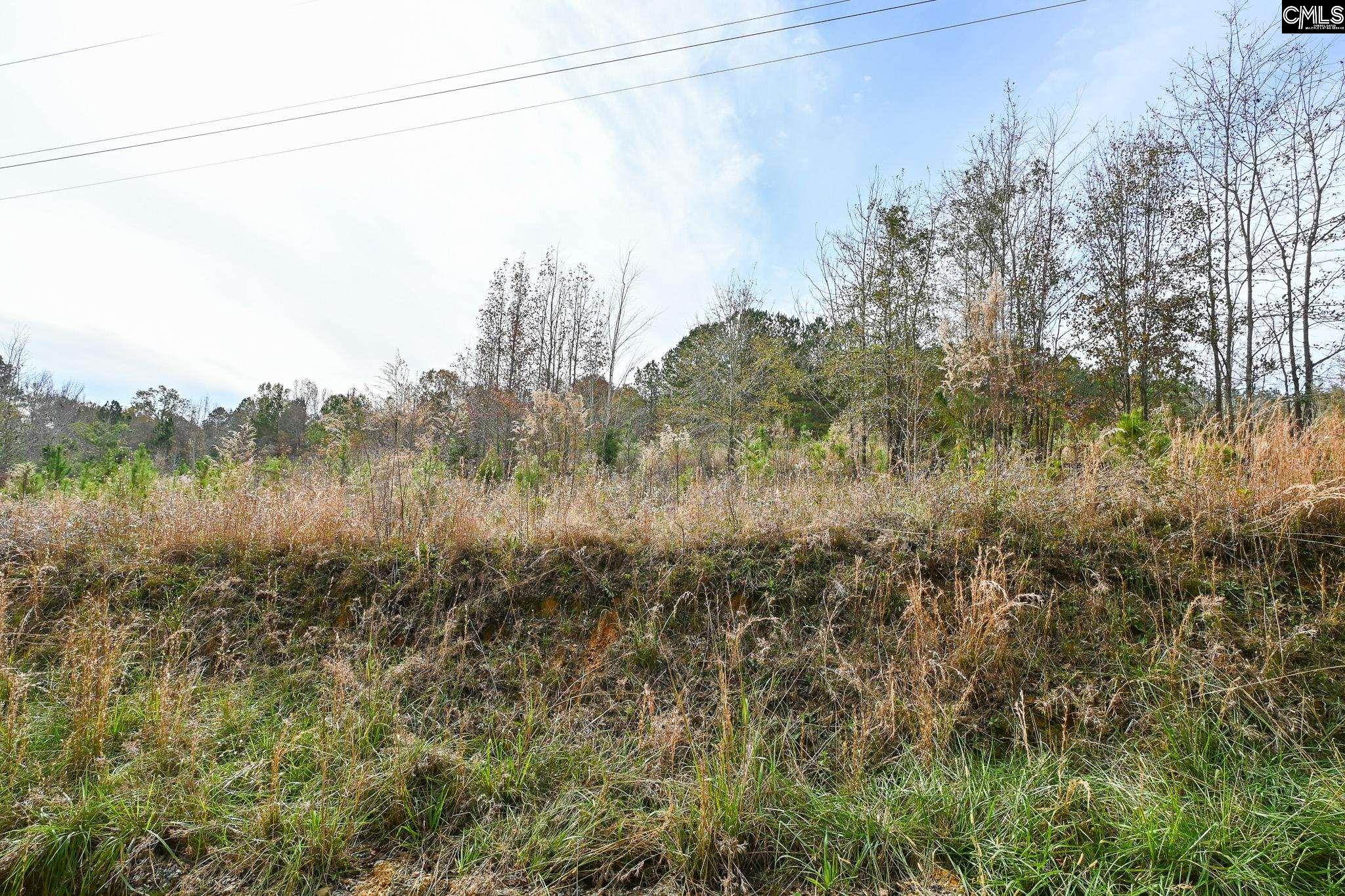 1621 Ethan Cook Road, Leesville, South Carolina image 4