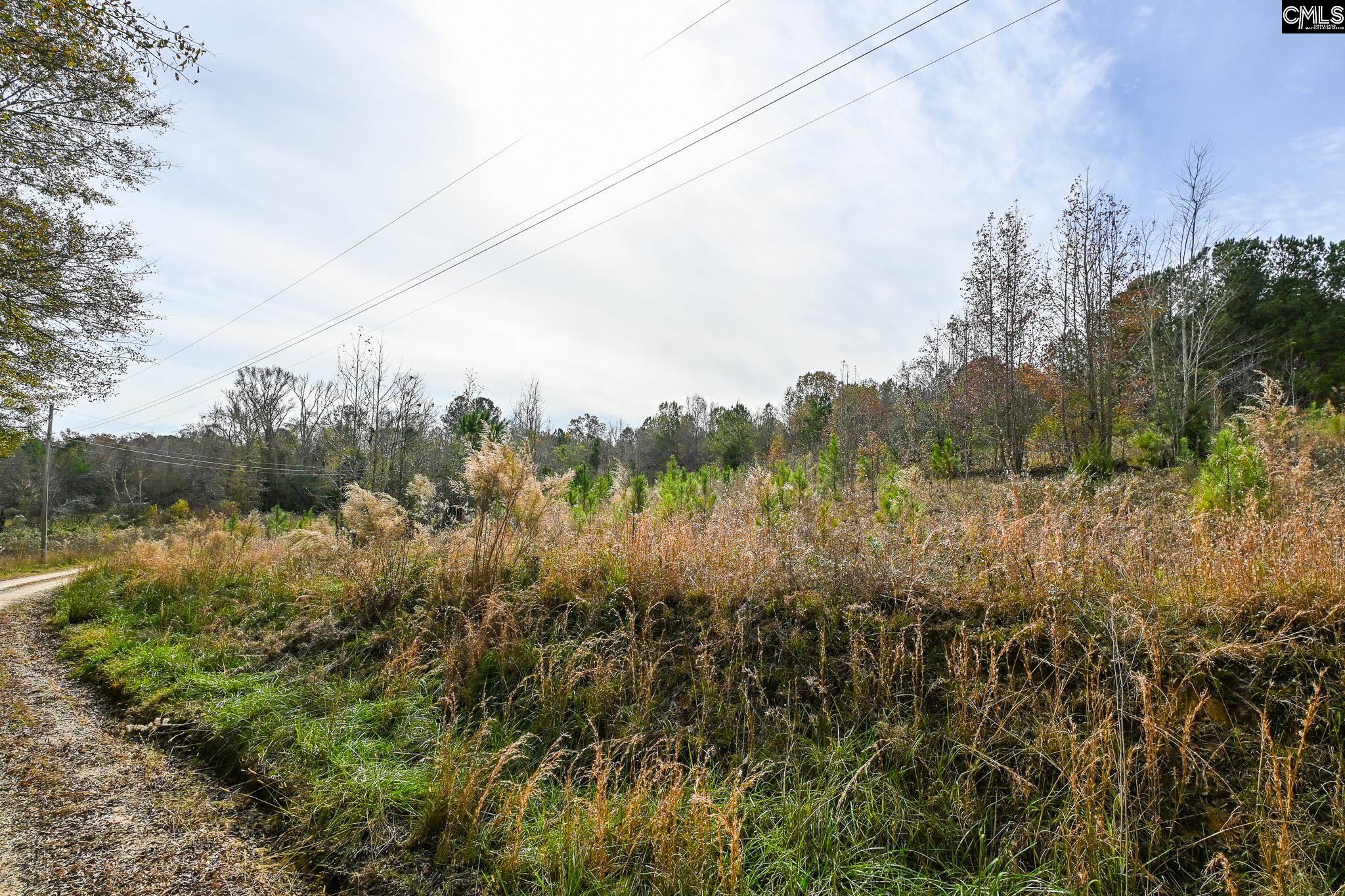 1621 Ethan Cook Road, Leesville, South Carolina image 5