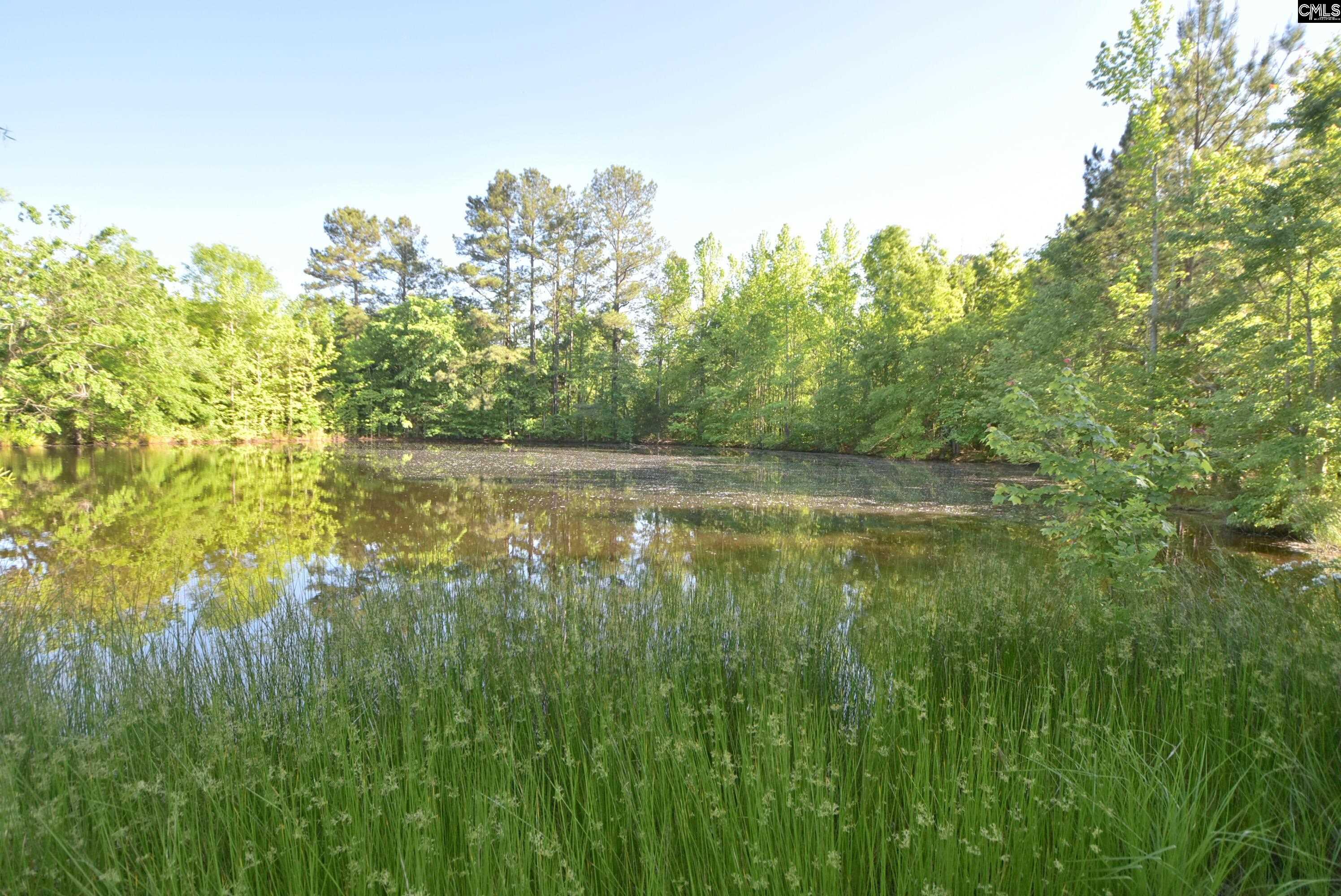 1235 Medical Park Road, Saluda, South Carolina image 14