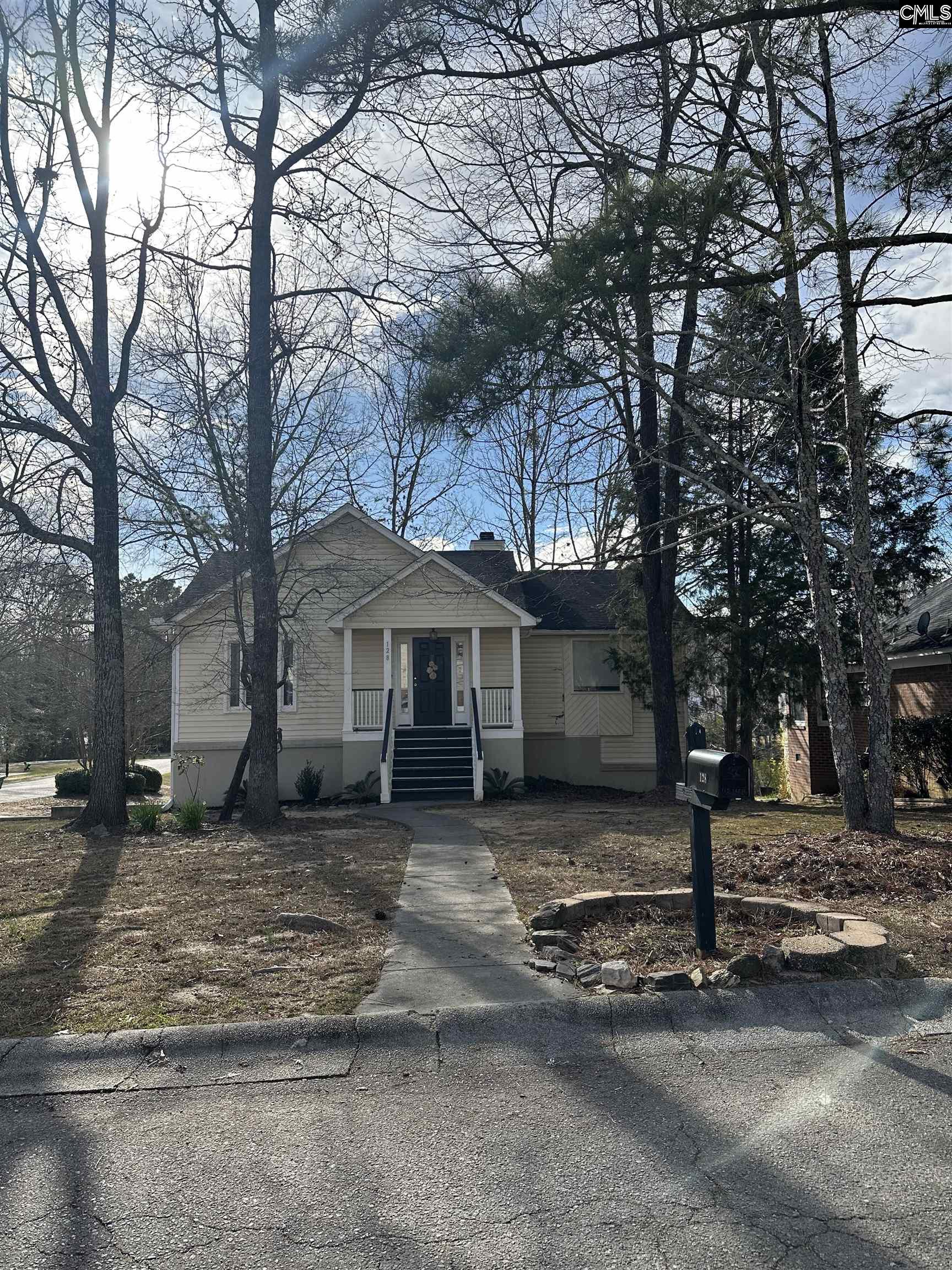 128 Spring Blossom Lane Chapin, SC 29036
