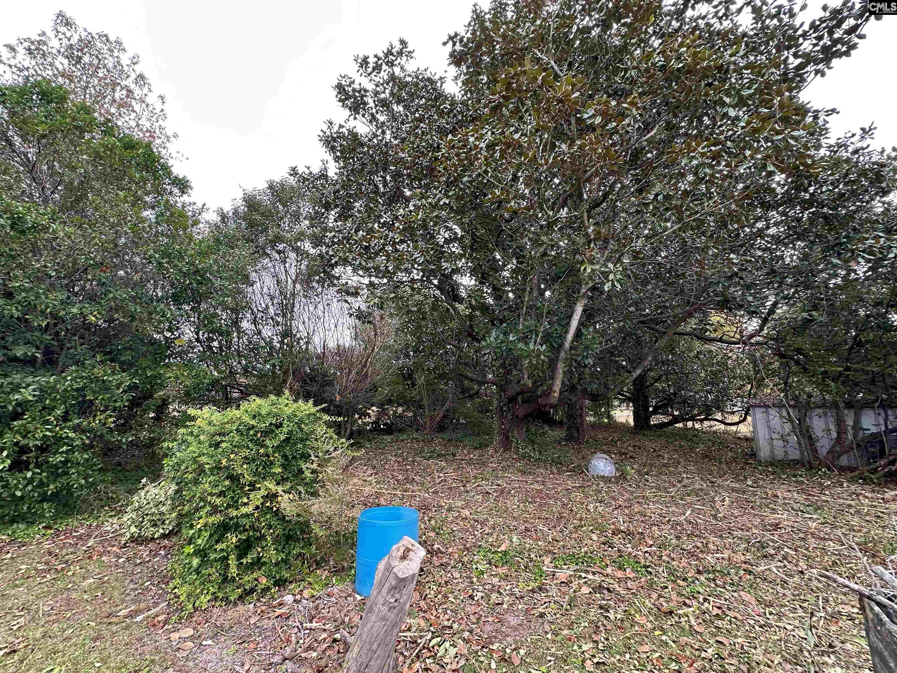 110 Crepe Myrtle Ct, Marion, South Carolina image 41