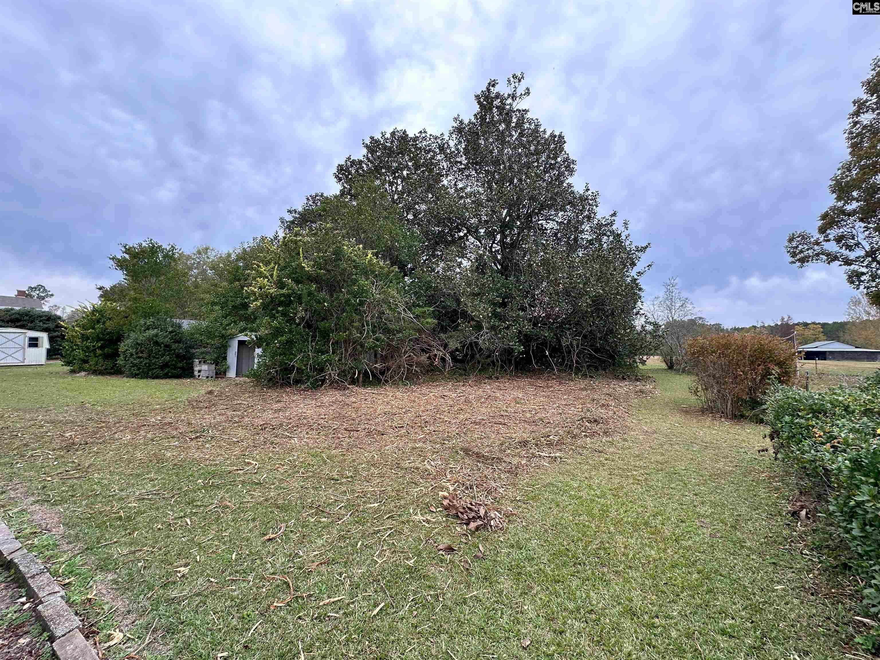 110 Crepe Myrtle Ct, Marion, South Carolina image 43
