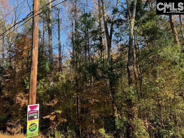 382 Oliver Metz Road Lexington, SC 29072-9311