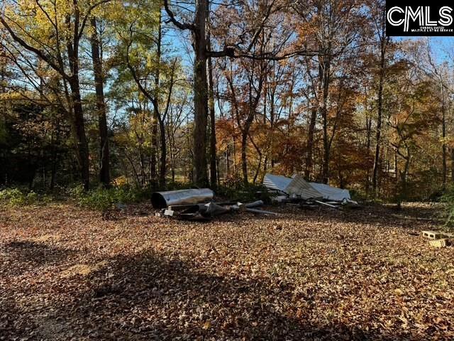 382 Oliver Metz Road Lexington, SC 29072-9311
