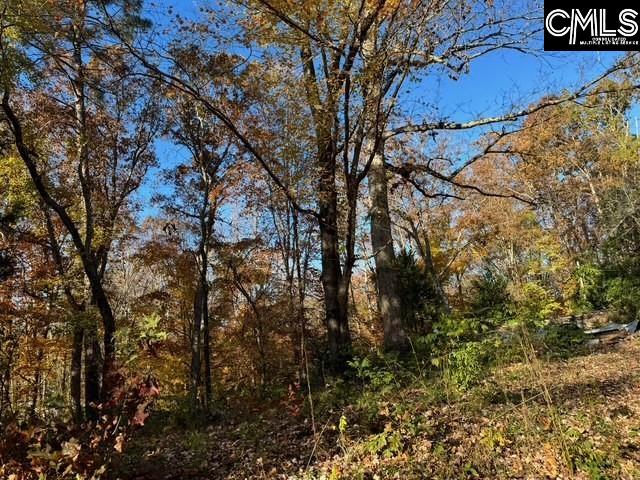 382 Oliver Metz Road Lexington, SC 29072-9311