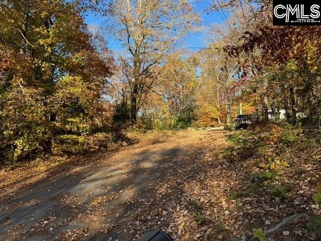 382 Oliver Metz Road Lexington, SC 29072-9311