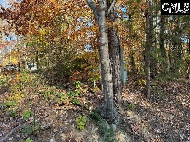 382 Oliver Metz Road Lexington, SC 29072-9311
