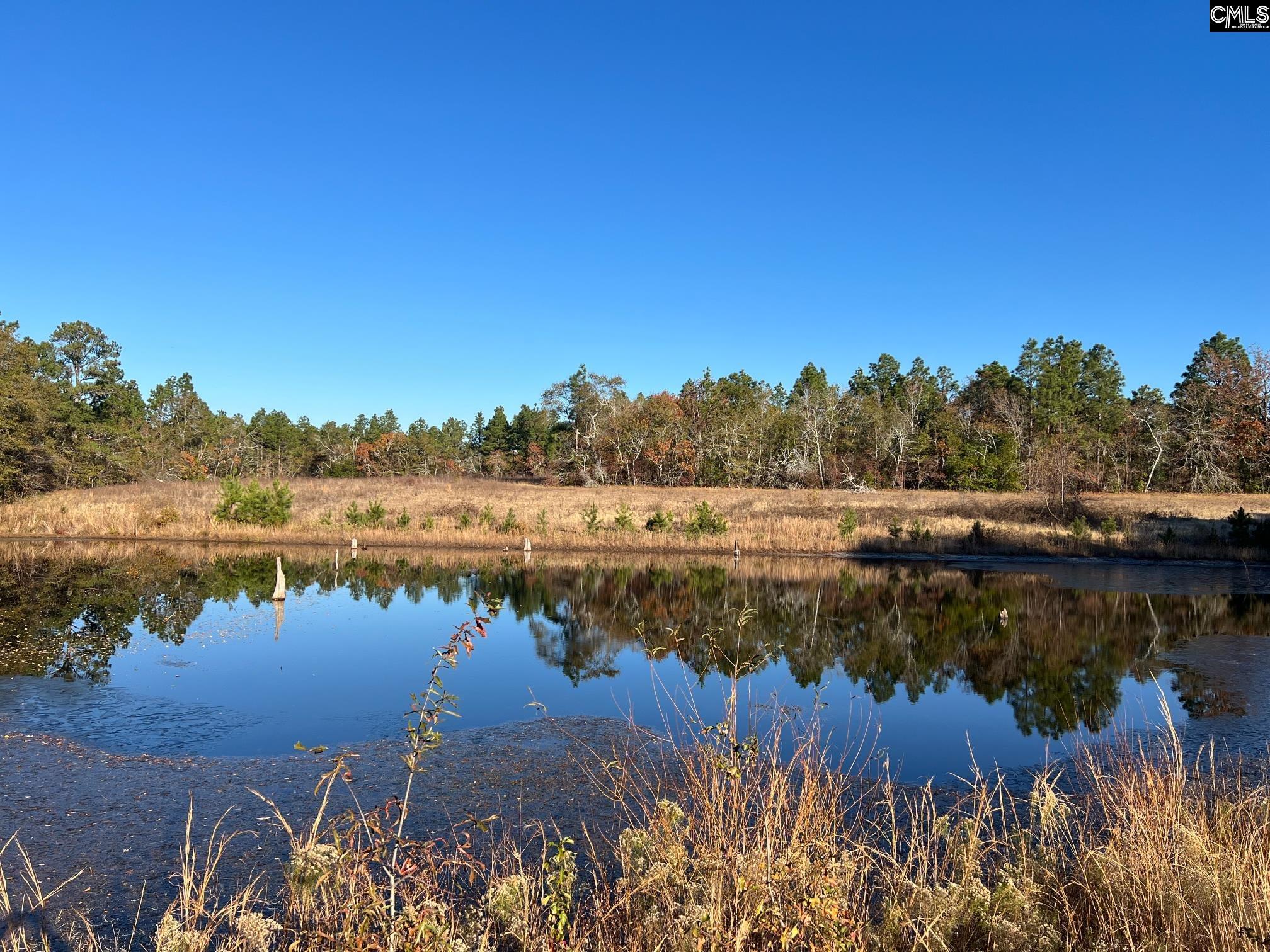 1524 Windy Wood Road Pelion, SC 29123