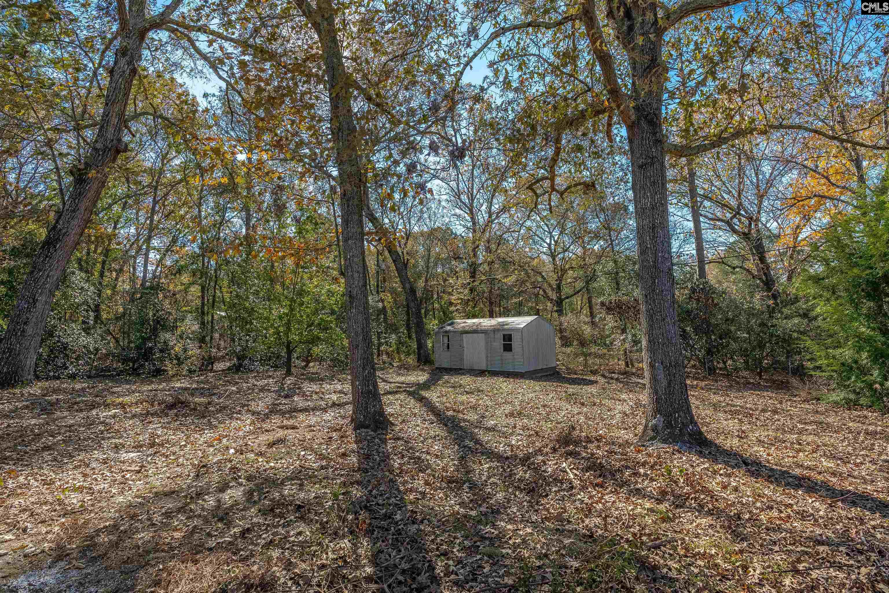 1016 Donna Drive, Elgin, South Carolina image 38