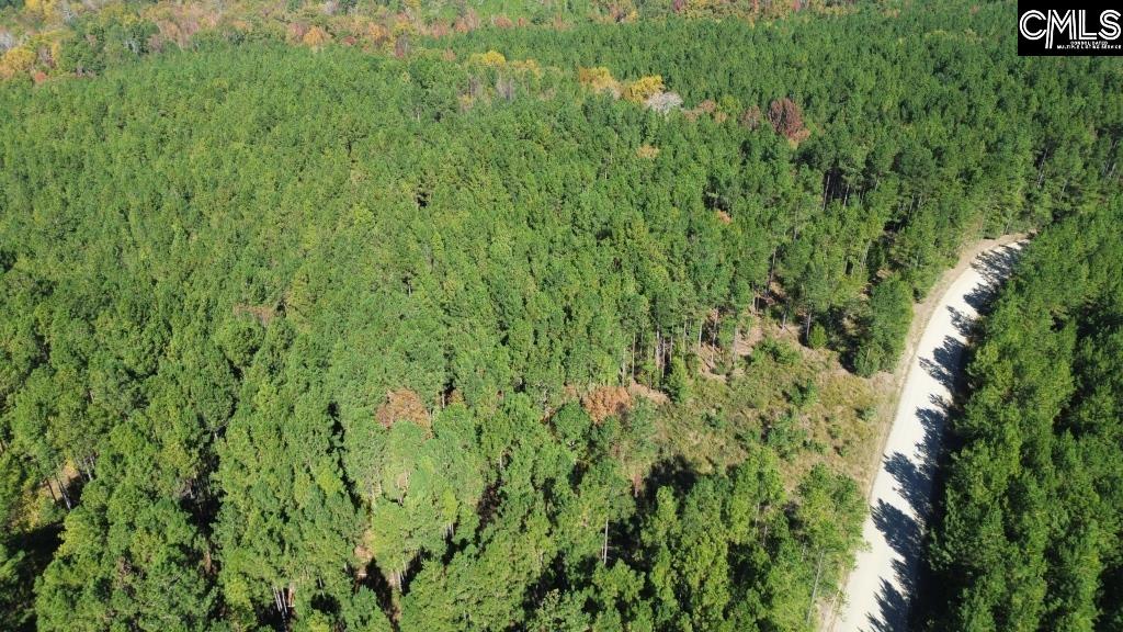Turkey Creek Road, Winnsboro, South Carolina image 1