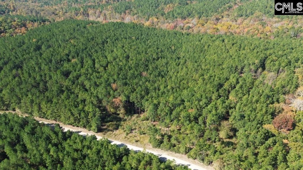 Turkey Creek Road, Winnsboro, South Carolina image 2