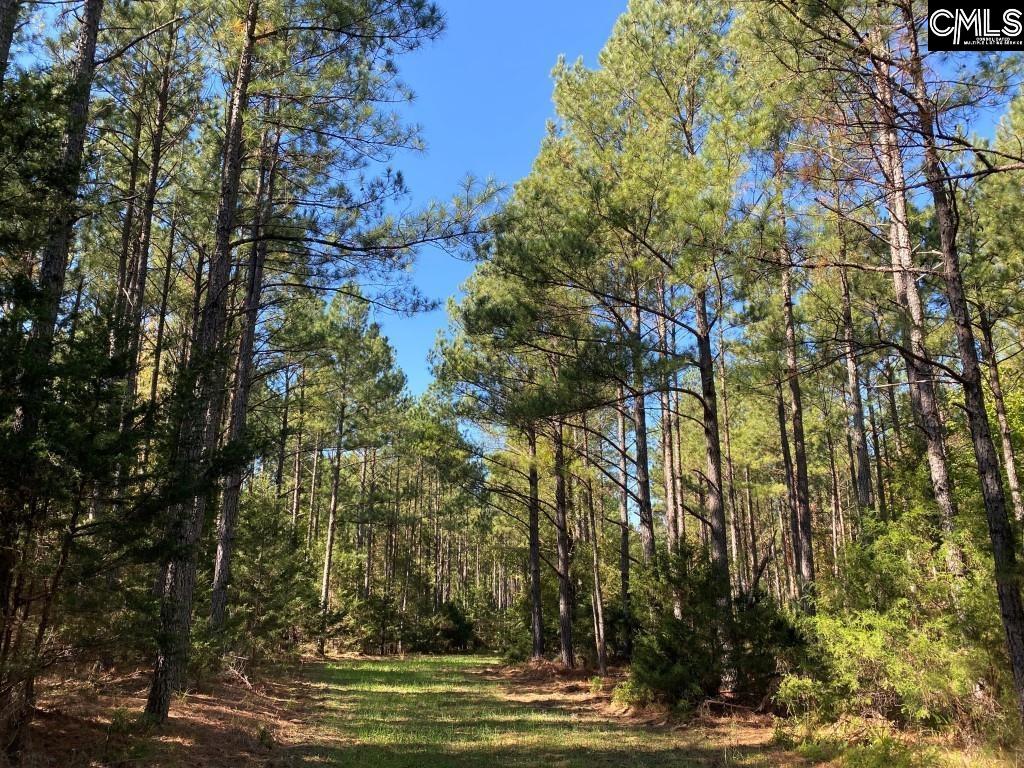 Turkey Creek Road, Winnsboro, South Carolina image 4