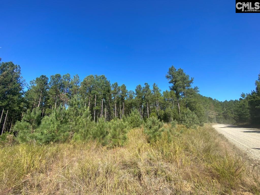 Turkey Creek Road, Winnsboro, South Carolina image 5