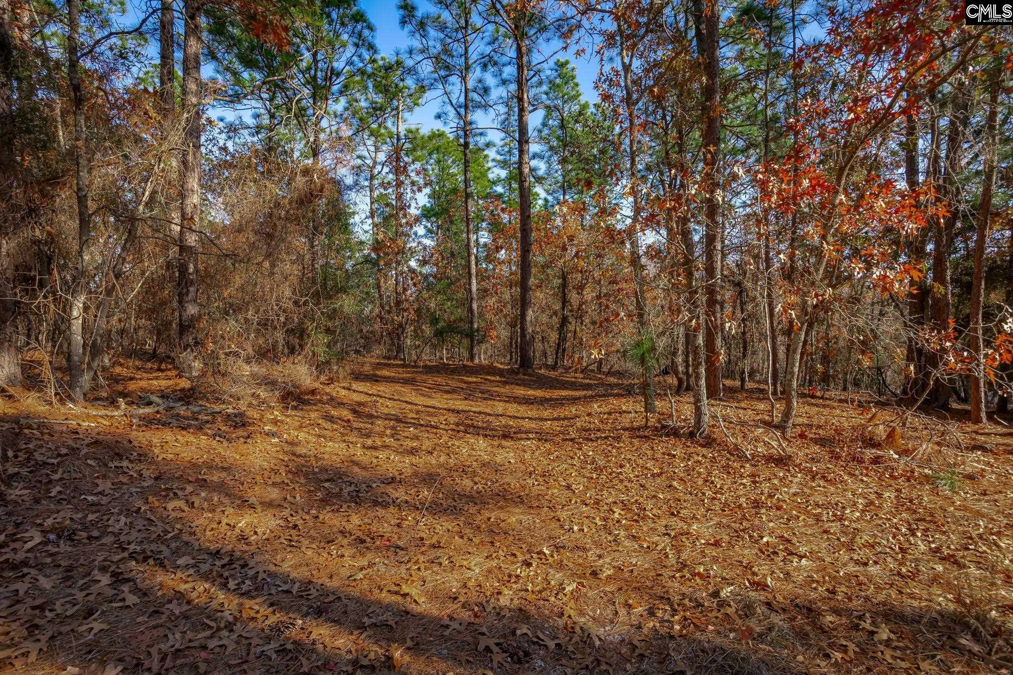 214 Sycamore Lane, Camden, South Carolina image 16