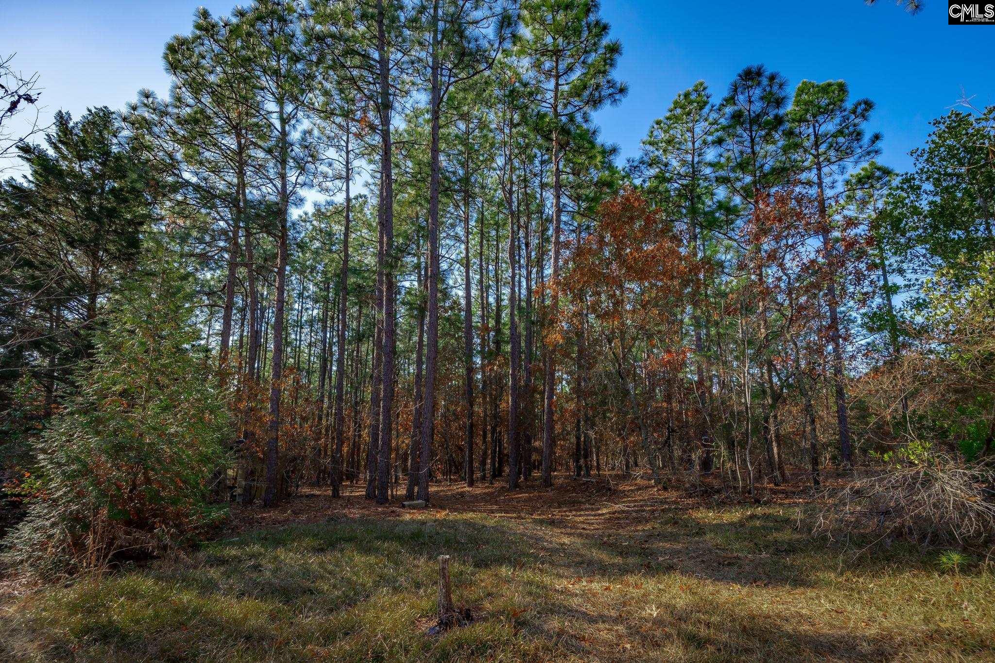 214 Sycamore Lane, Camden, South Carolina image 17