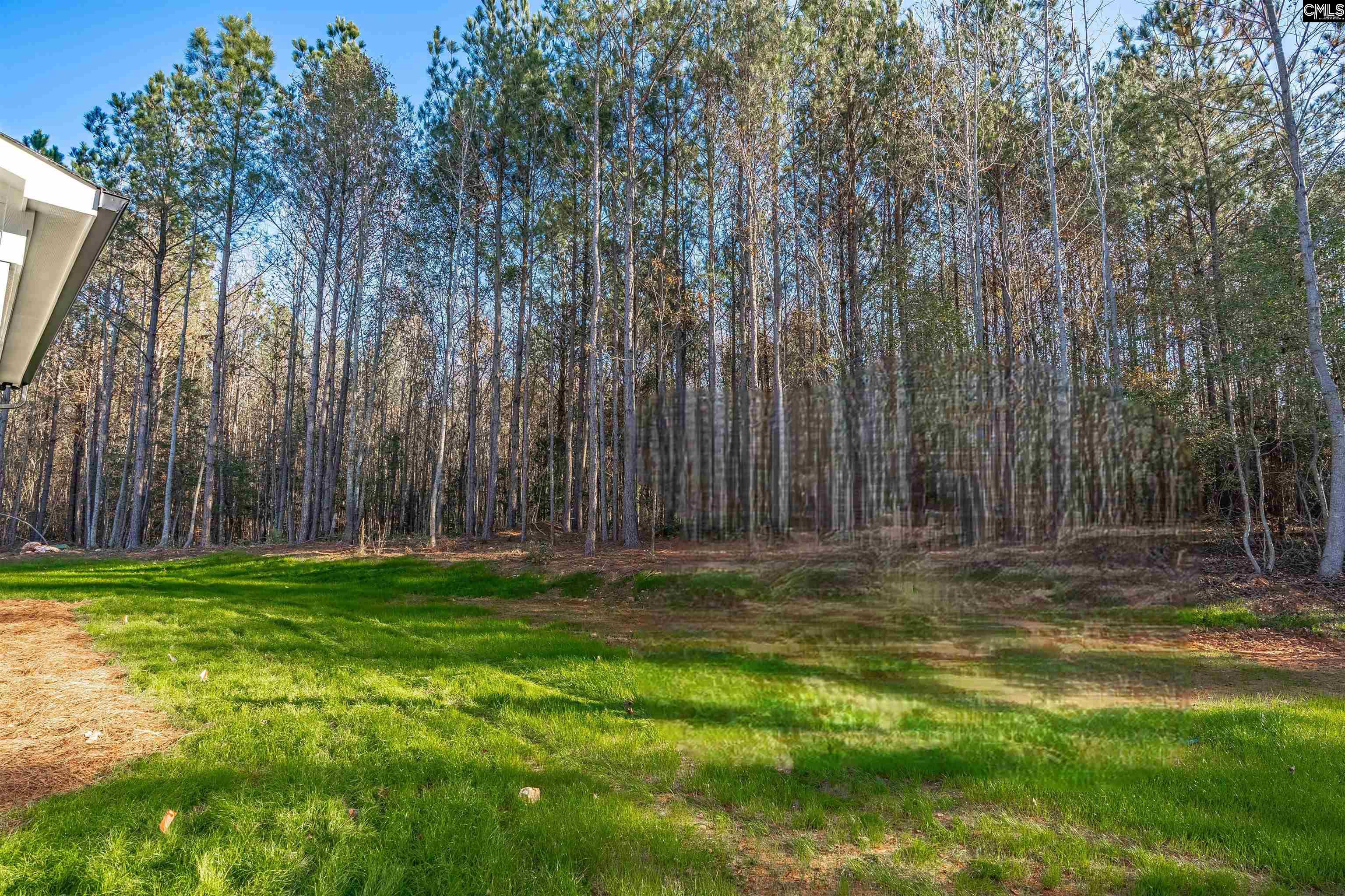 124 Clouds Creek Circle Leesville, SC 29070