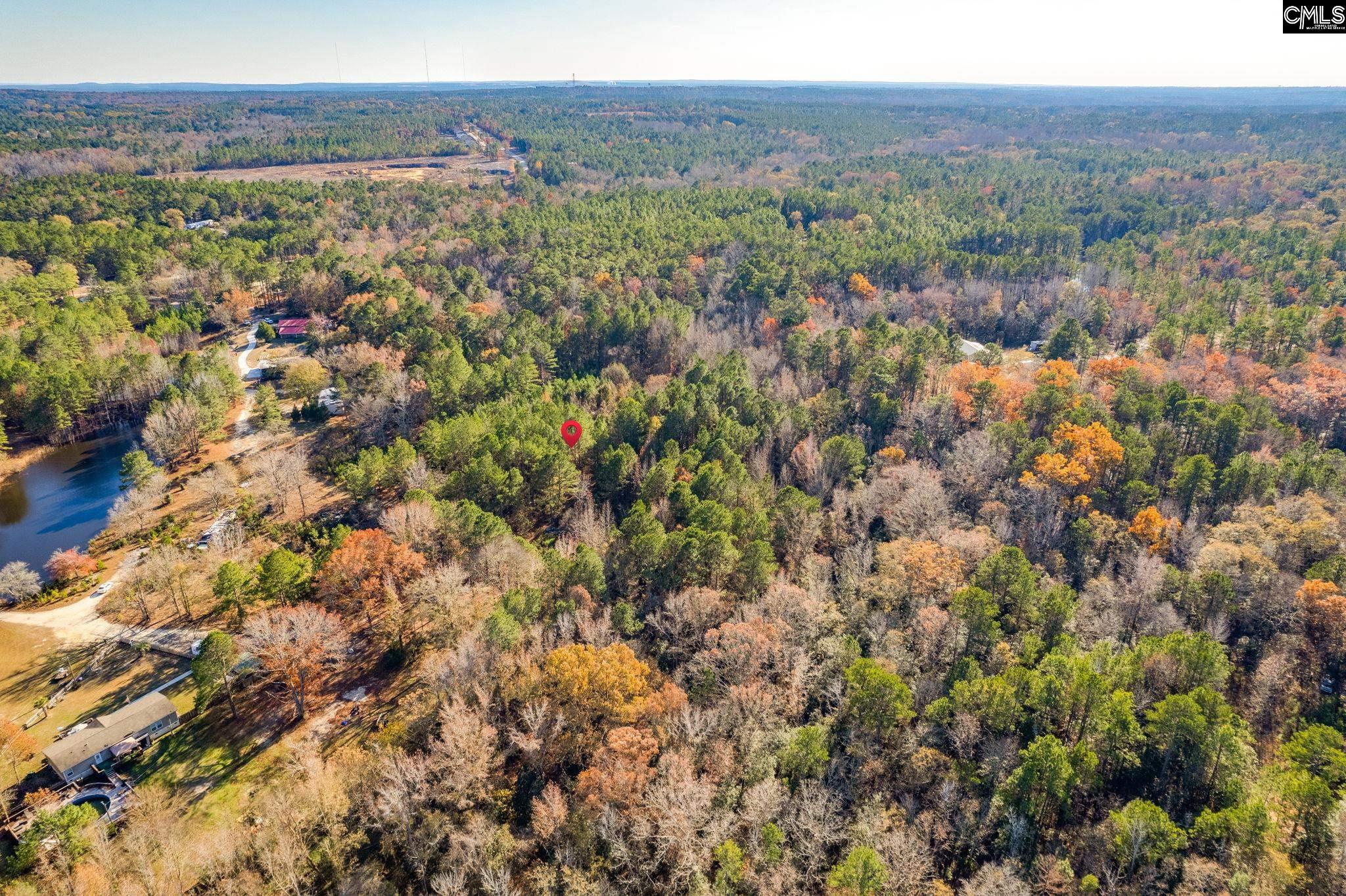 1089 Chestnut Hill Road, Elgin, South Carolina image 3