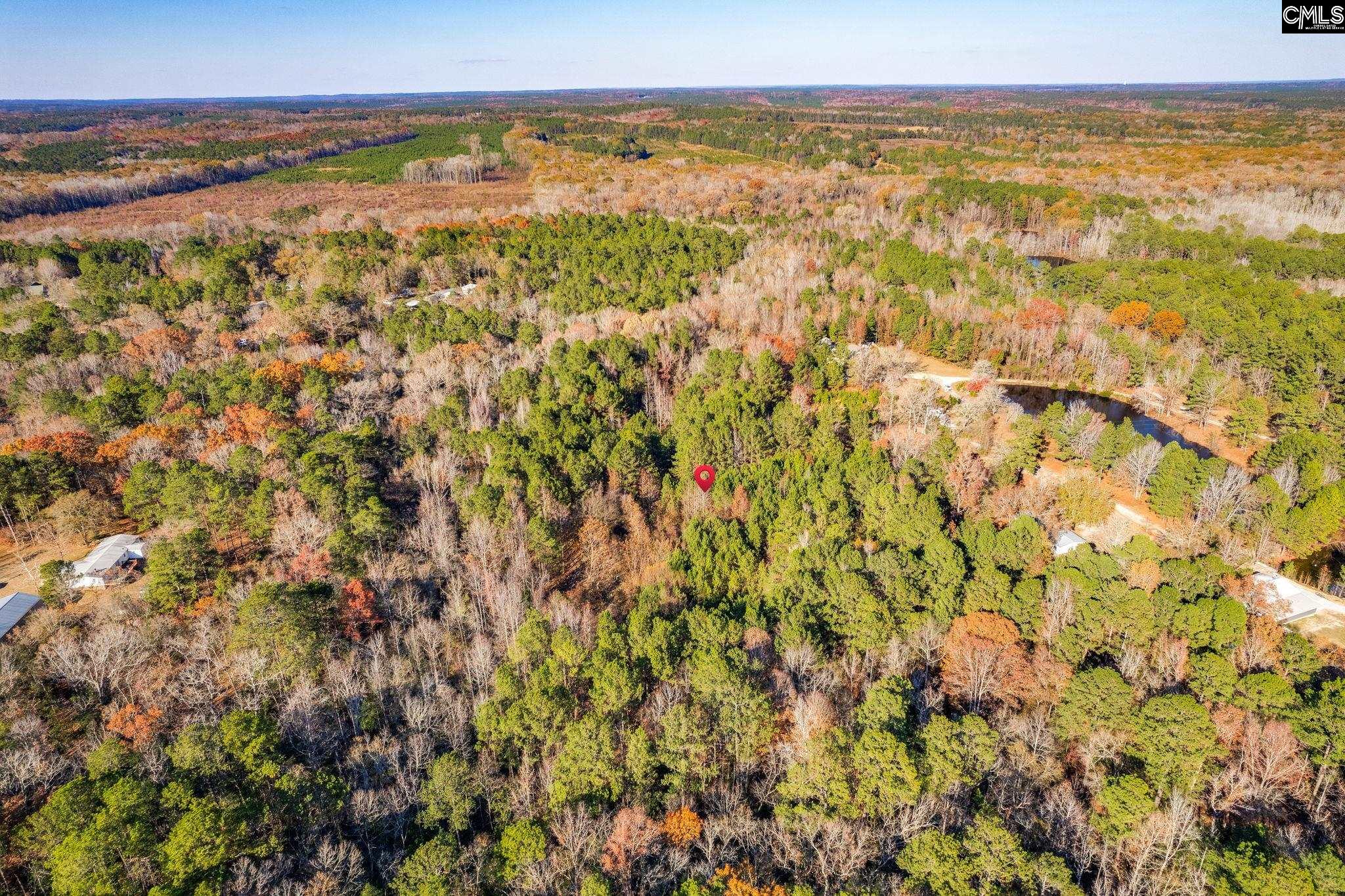 1089 Chestnut Hill Road, Elgin, South Carolina image 8