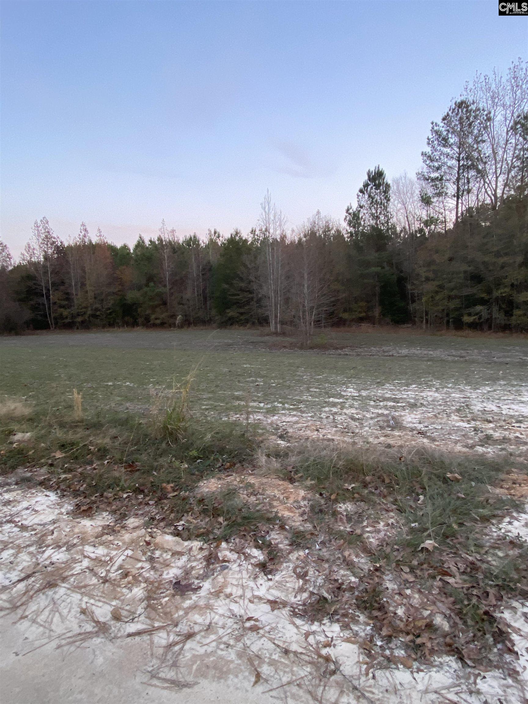 Right side of the property.  Patch of trees is property line