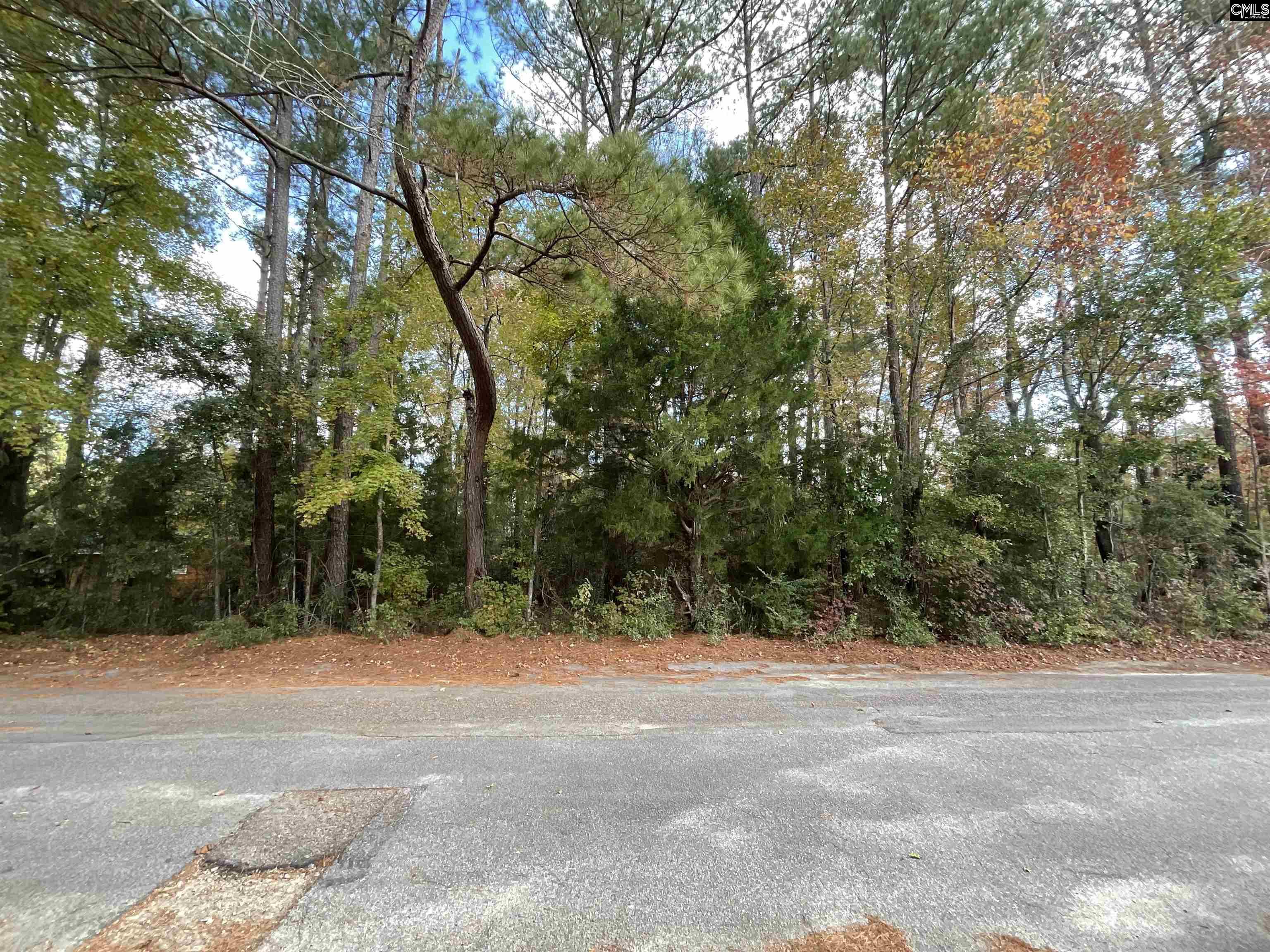 Henry Street, Bamberg, South Carolina image 1