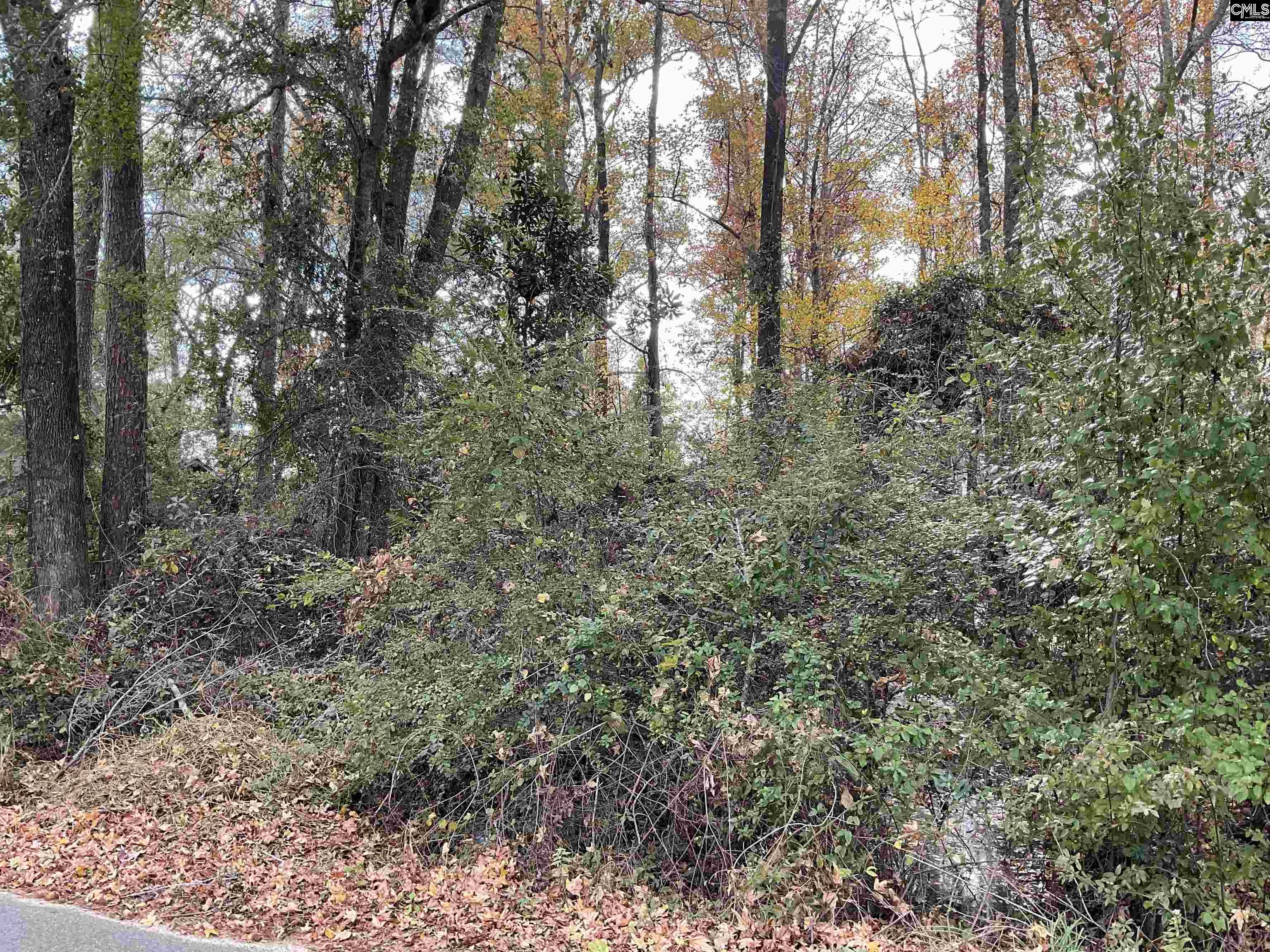 Lacey Street, Bamberg, South Carolina image 4