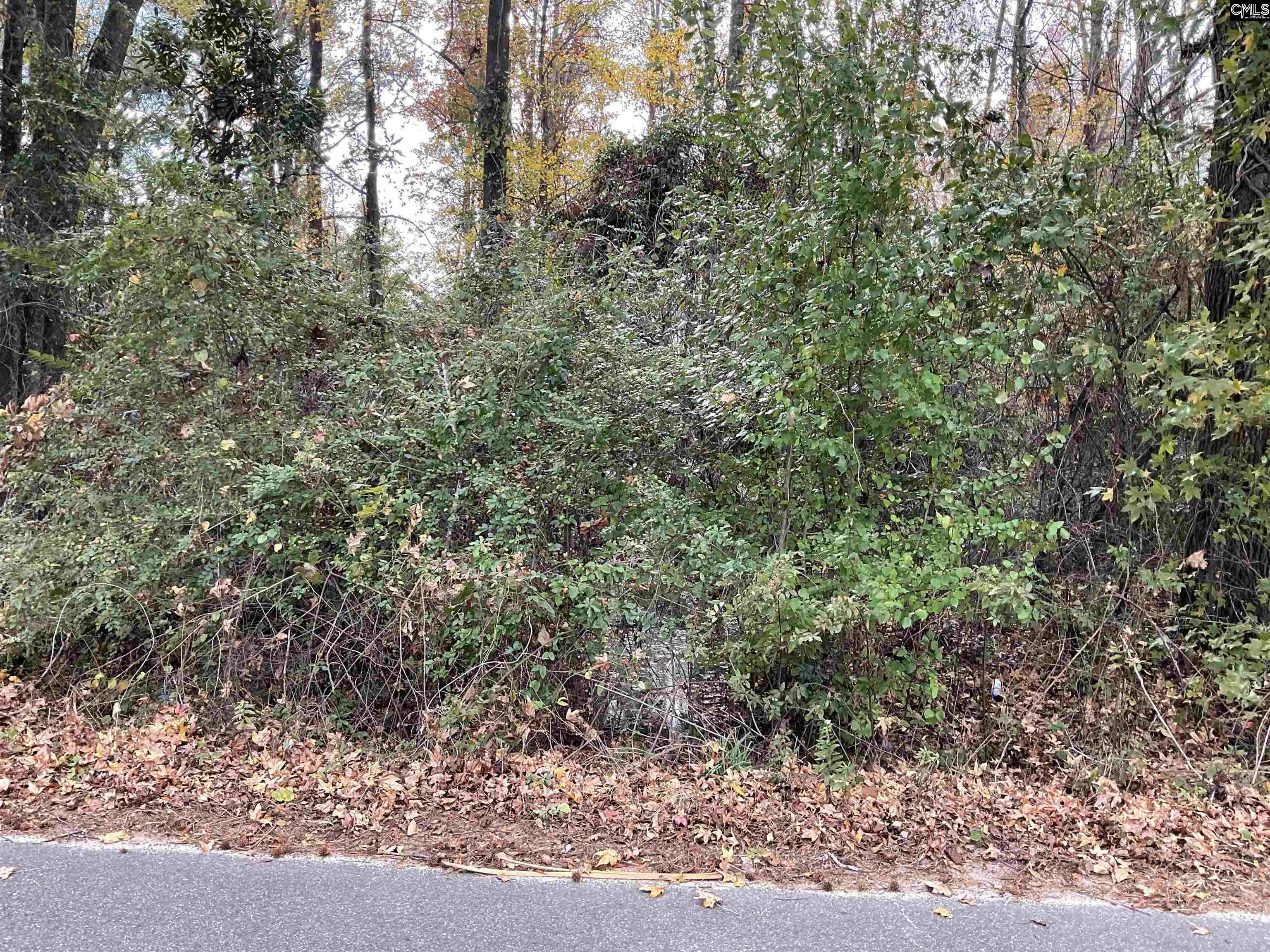 Henry Street, Bamberg, South Carolina image 1