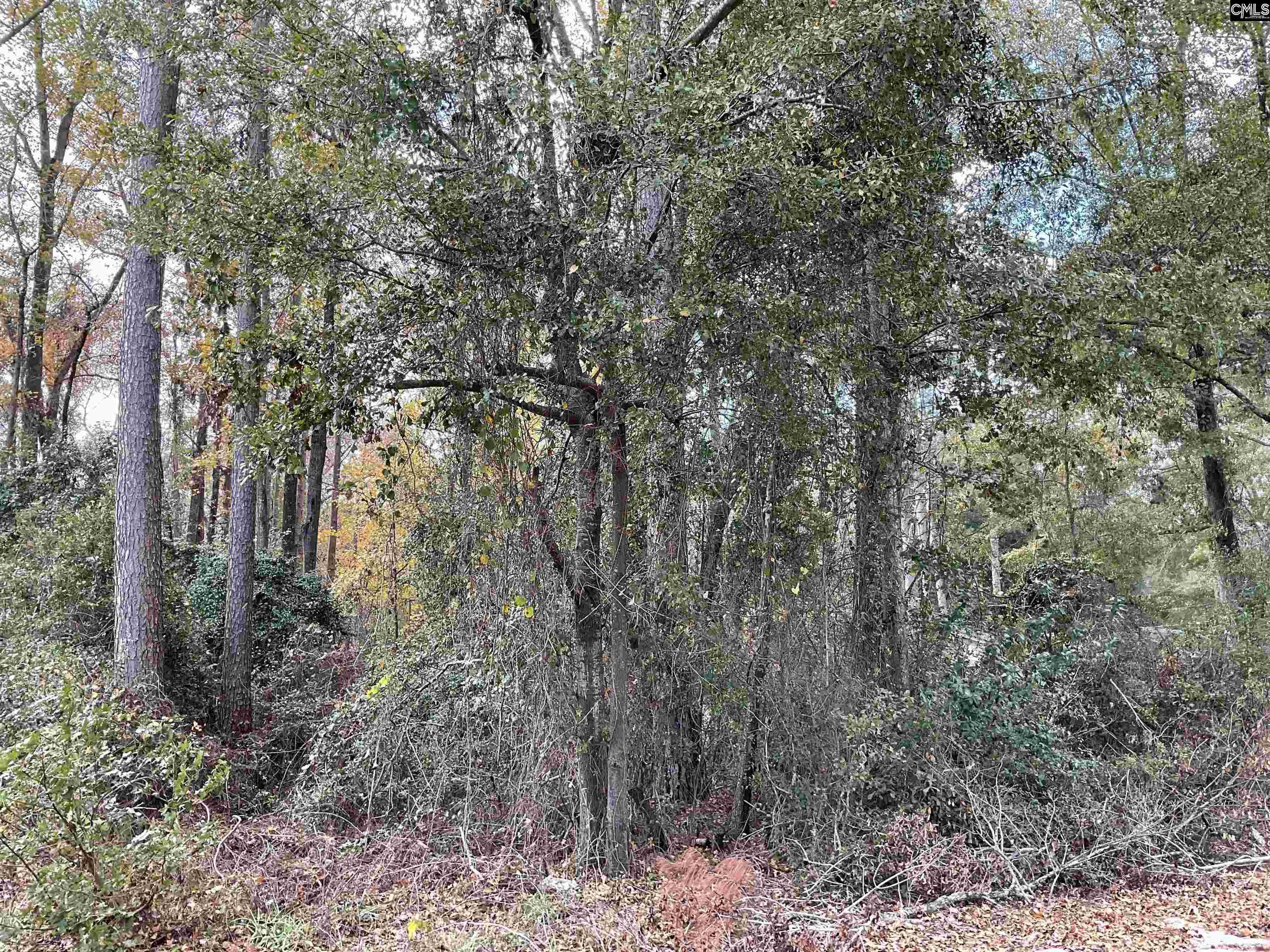 Henry Street, Bamberg, South Carolina image 2