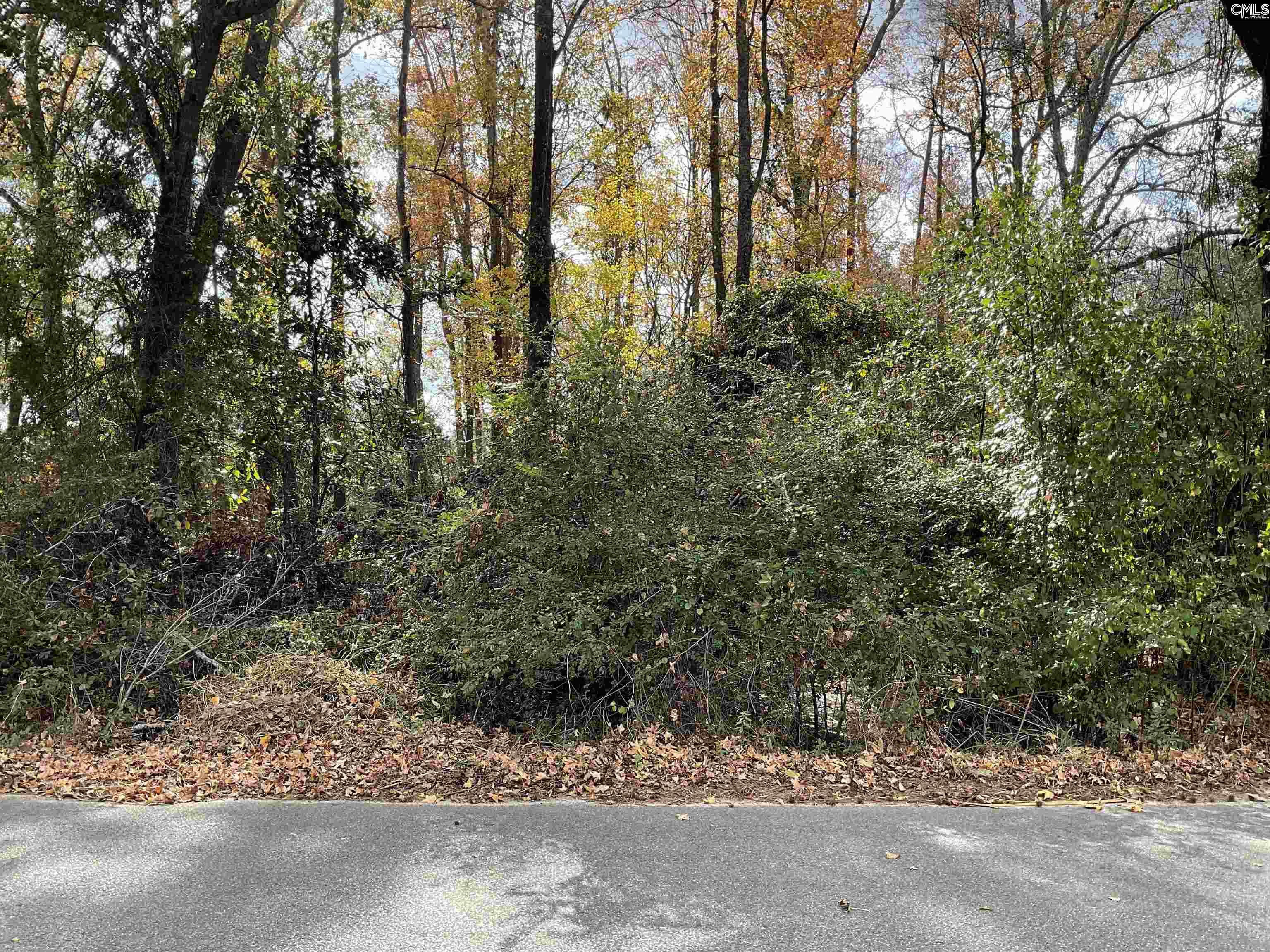 Henry Street, Bamberg, South Carolina image 3