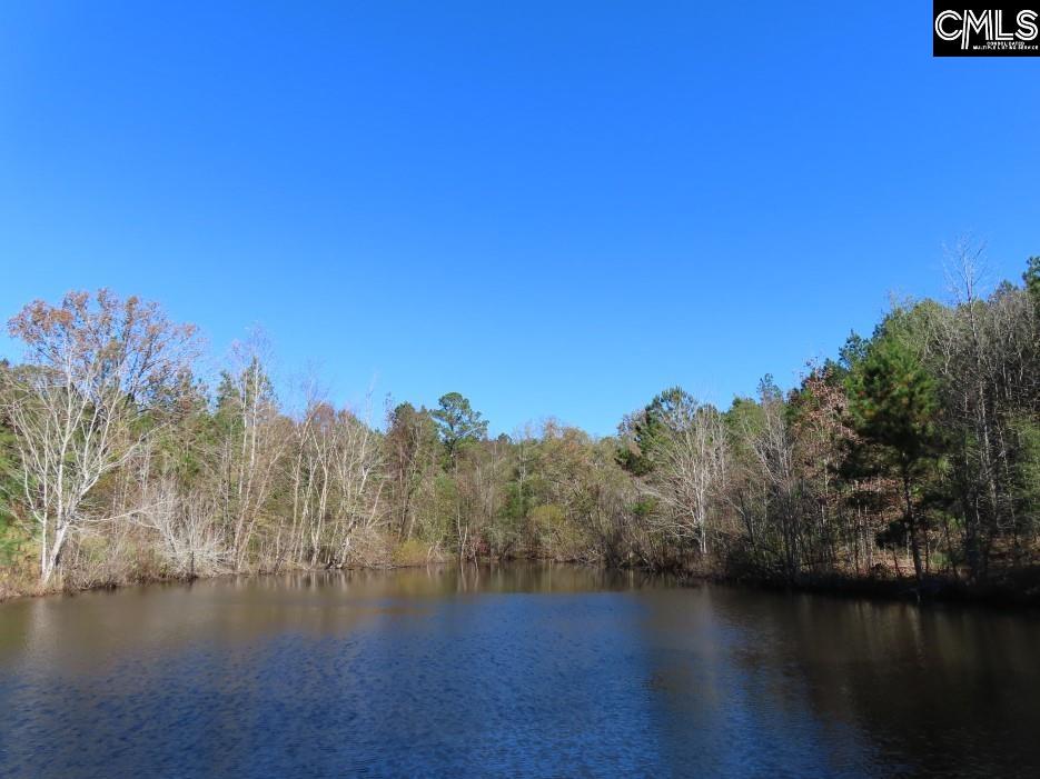 Jefferson Road, Newberry, South Carolina image 1