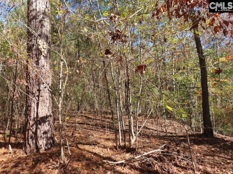 Jefferson Road, Newberry, South Carolina image 11