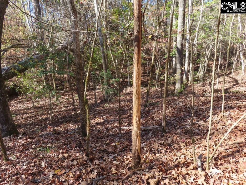 Jefferson Road, Newberry, South Carolina image 12