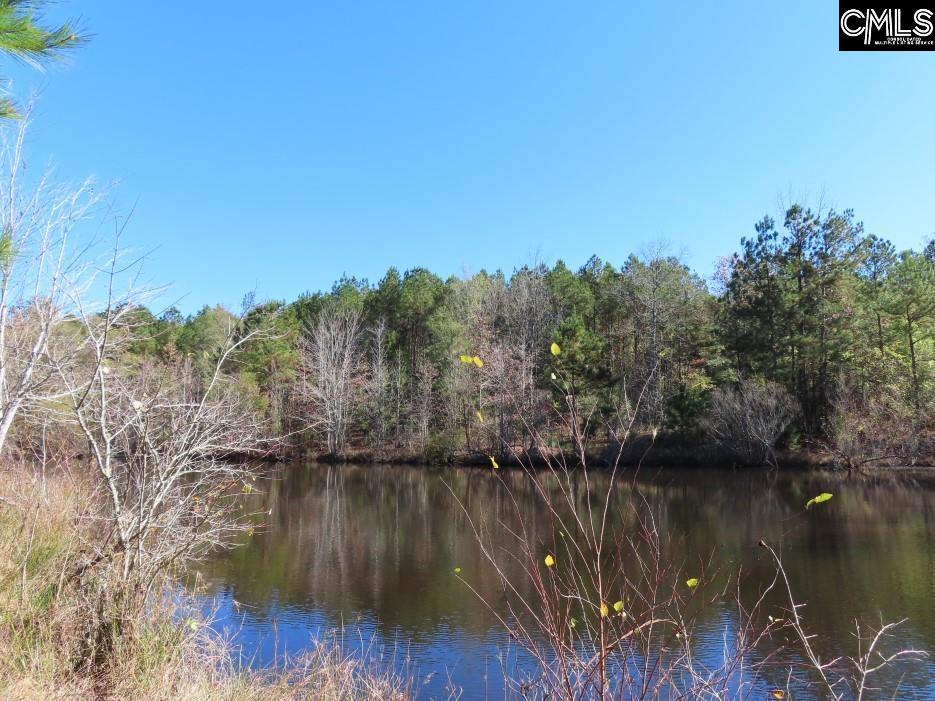 Jefferson Road, Newberry, South Carolina image 13