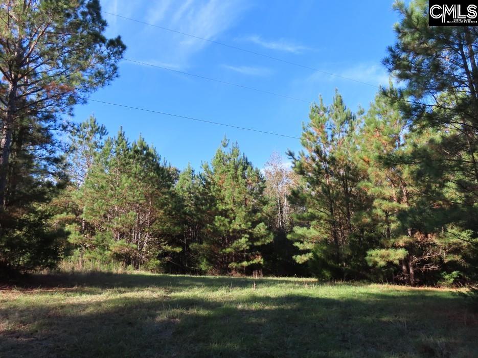 Jefferson Road, Newberry, South Carolina image 15