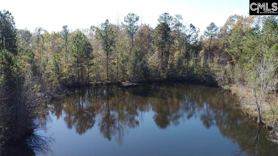 Jefferson Road, Newberry, South Carolina image 18