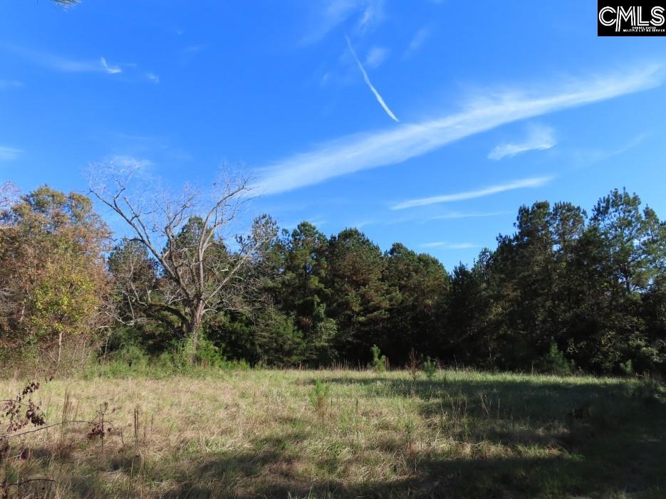 Jefferson Road, Newberry, South Carolina image 3