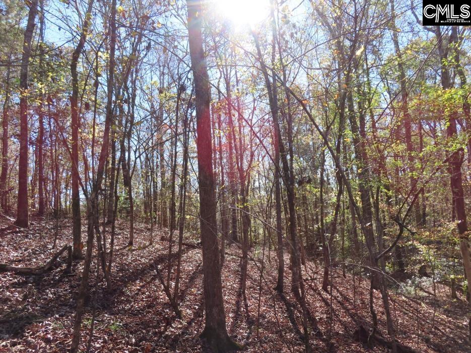 Jefferson Road, Newberry, South Carolina image 22