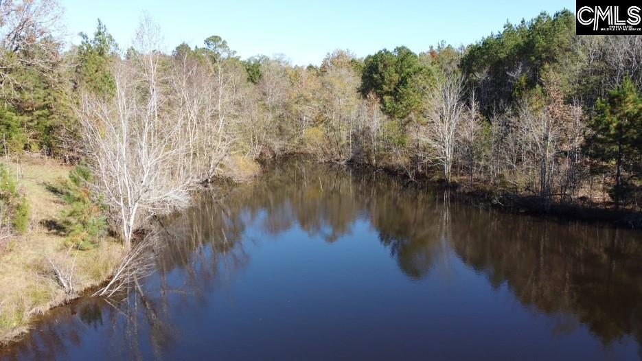 Jefferson Road, Newberry, South Carolina image 23