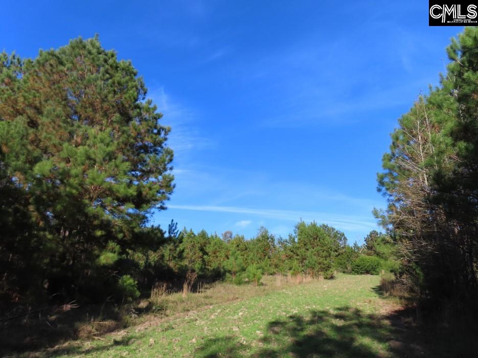 Jefferson Road, Newberry, South Carolina image 24