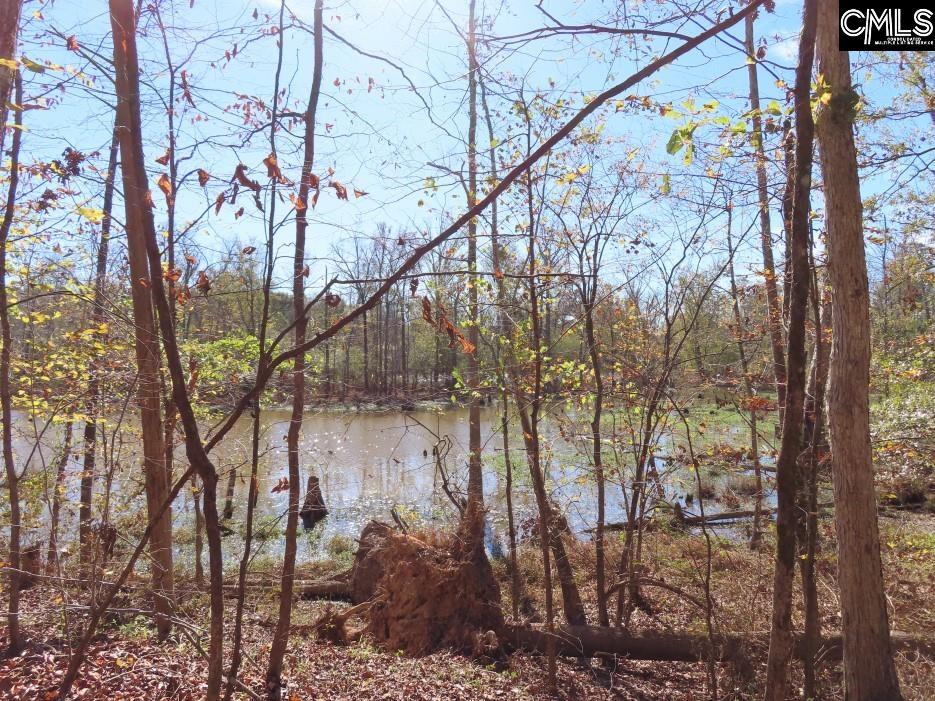 Jefferson Road, Newberry, South Carolina image 27
