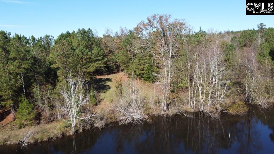 Jefferson Road, Newberry, South Carolina image 28