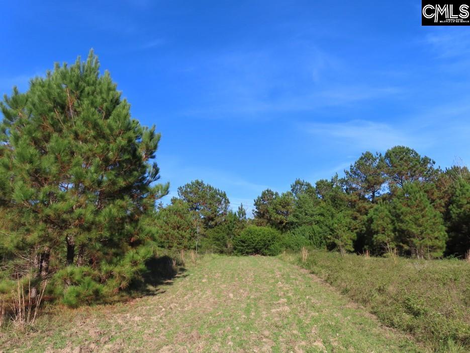 Jefferson Road, Newberry, South Carolina image 30