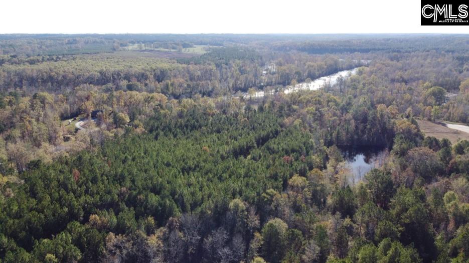 Jefferson Road, Newberry, South Carolina image 34