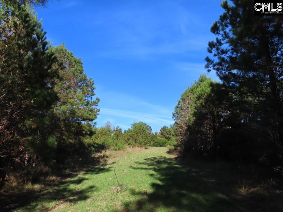 Jefferson Road, Newberry, South Carolina image 35