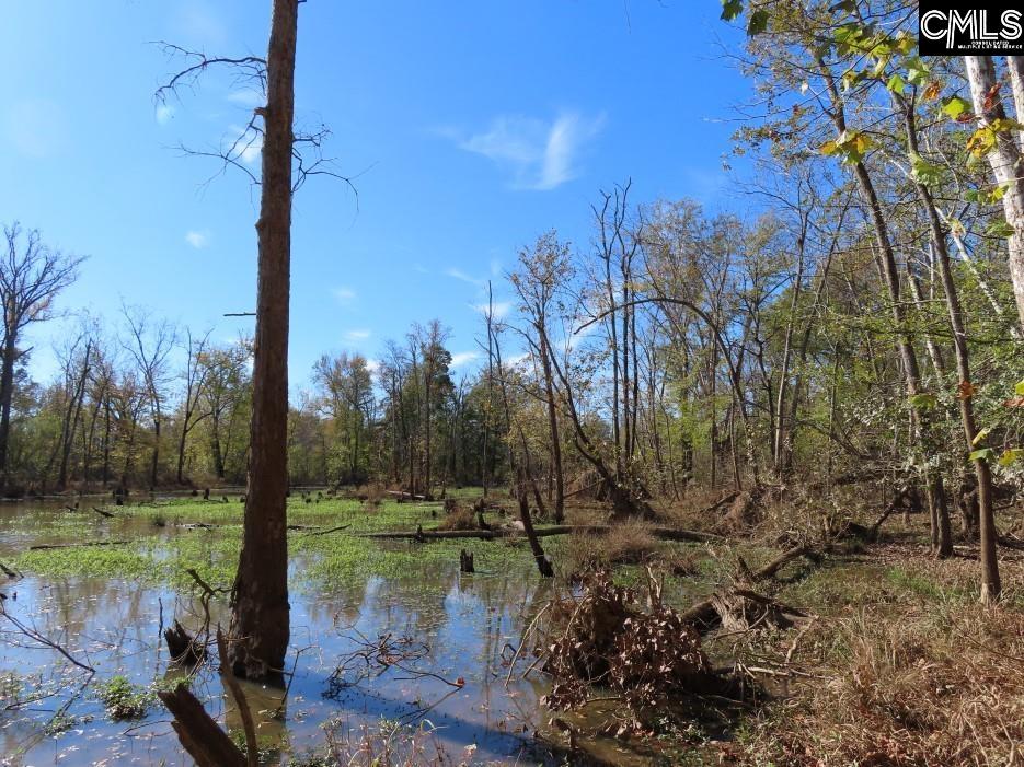 Jefferson Road, Newberry, South Carolina image 36