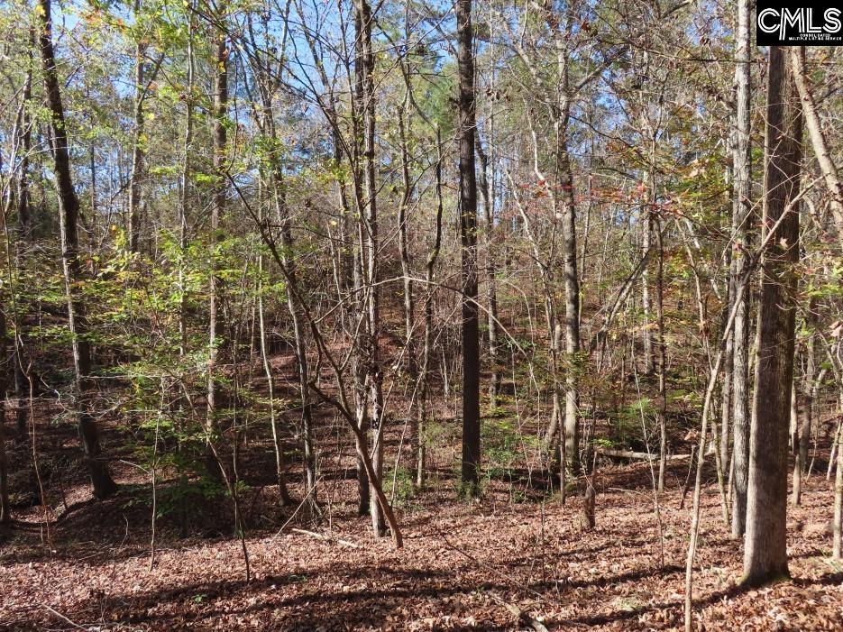 Jefferson Road, Newberry, South Carolina image 37