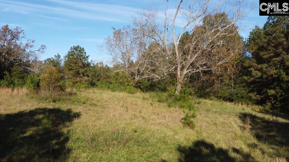 Jefferson Road, Newberry, South Carolina image 40
