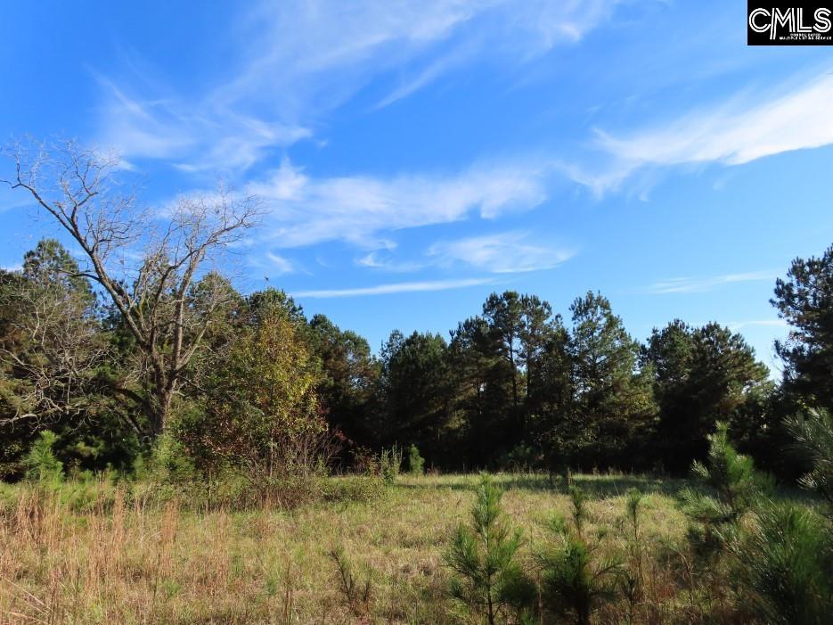 Jefferson Road, Newberry, South Carolina image 42