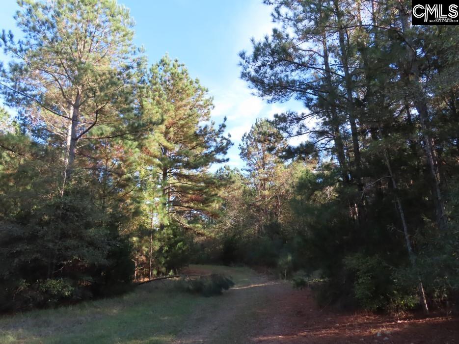 Jefferson Road, Newberry, South Carolina image 46