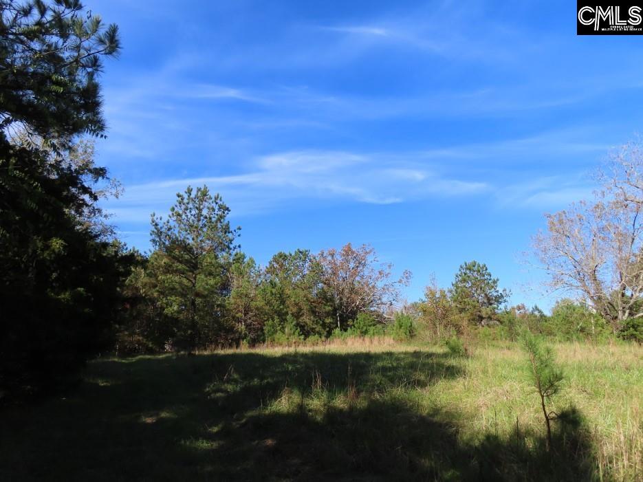 Jefferson Road, Newberry, South Carolina image 47