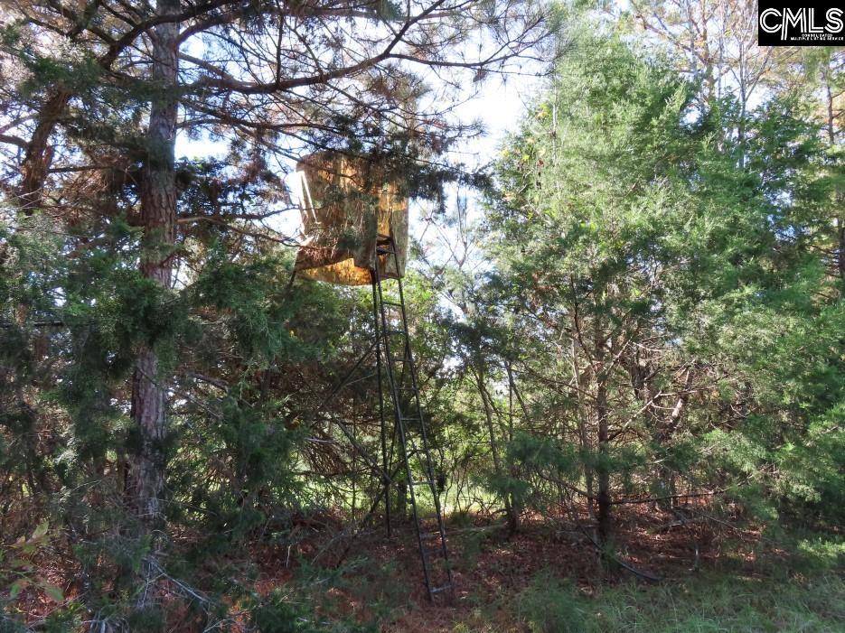 Jefferson Road, Newberry, South Carolina image 48